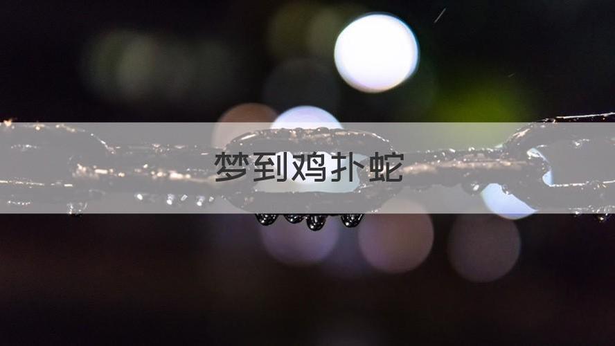 梦见鸡咬蛇是什么意思