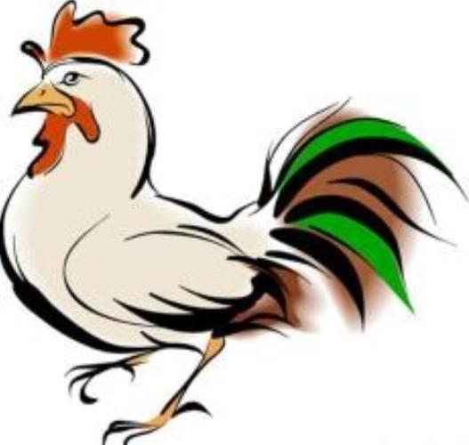 属鸡男人命运如何?属鸡男生最想娶什么类型女生?