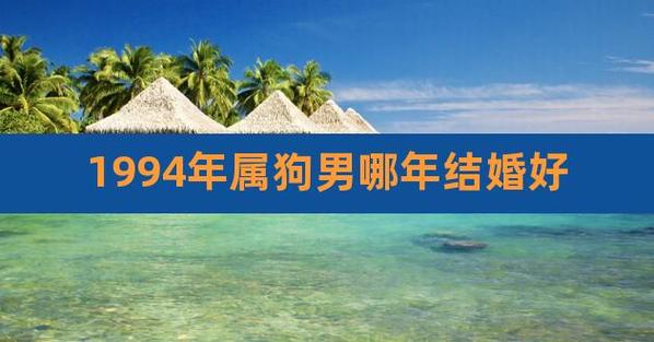 属狗男结婚后会变成什么样子