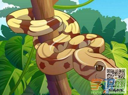 做梦梦见黄蛇 做梦梦见黄蛇追着我跑