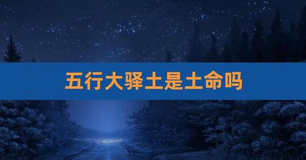 大驿土命发财方向