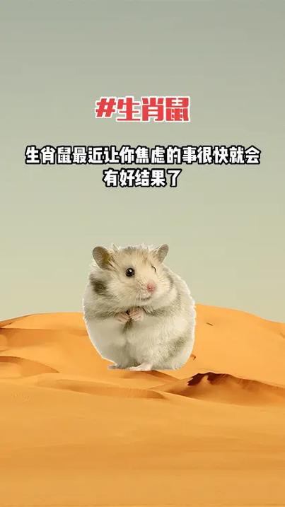 努力却总得不到好结果的生肖