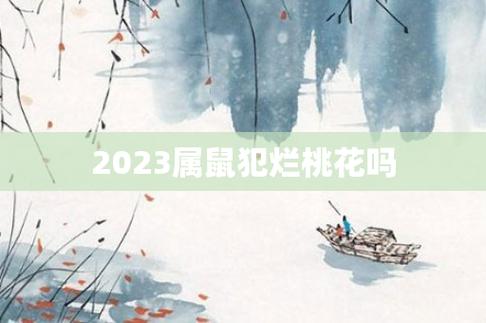 属鼠的2022年春节有烂桃花吗