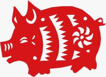 明年2019年是什么命猪年