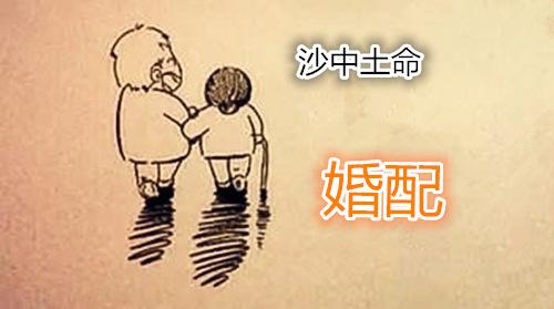 沙中土命的最佳婚配对象