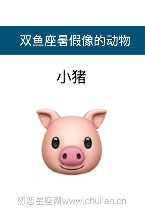 双鱼座喜欢什么动物呀