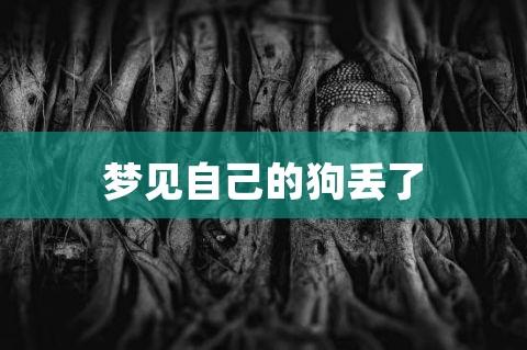 梦见自己的狗丢了