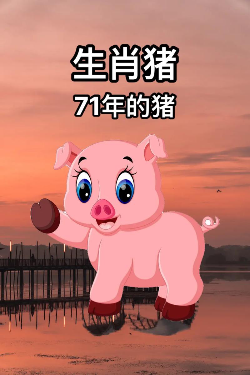71年生肖猪运程如何