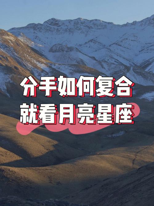 分手还能复合的星座