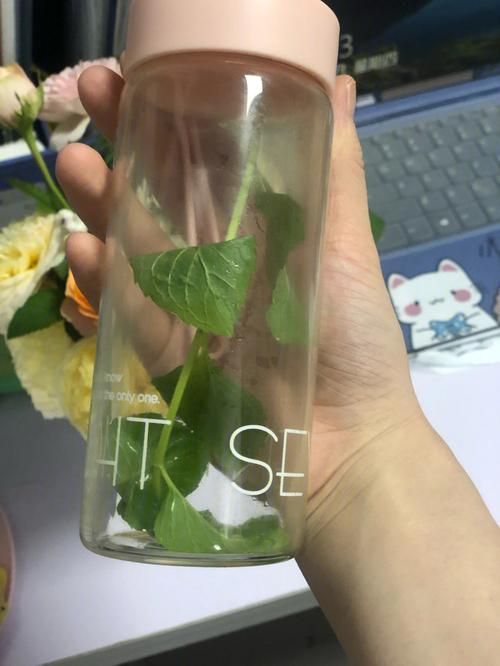 在办公桌放什么颜色的花年终奖发得多