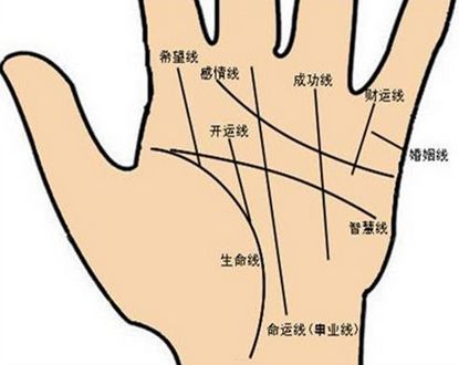 成功男人手相,看看事业运势如何