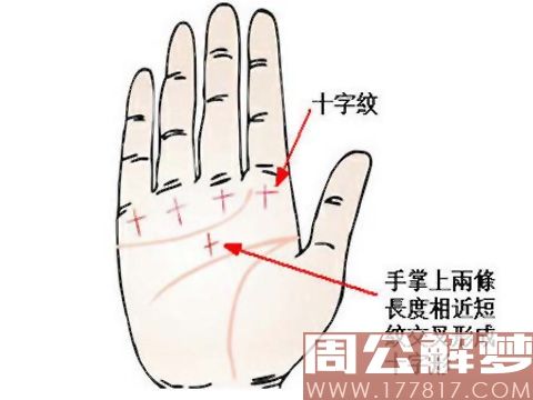 掌中十字纹知你的爱情事业运