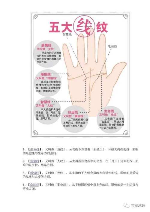 女生手相图解大全,女生手相怎么看感情线