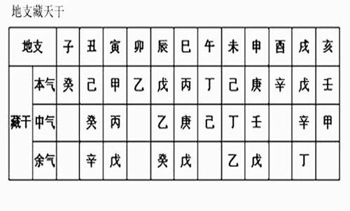 官星在地支藏说明什么