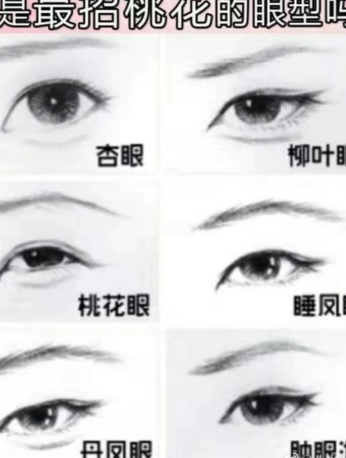 桃花眼的特征是什么桃花眼解读