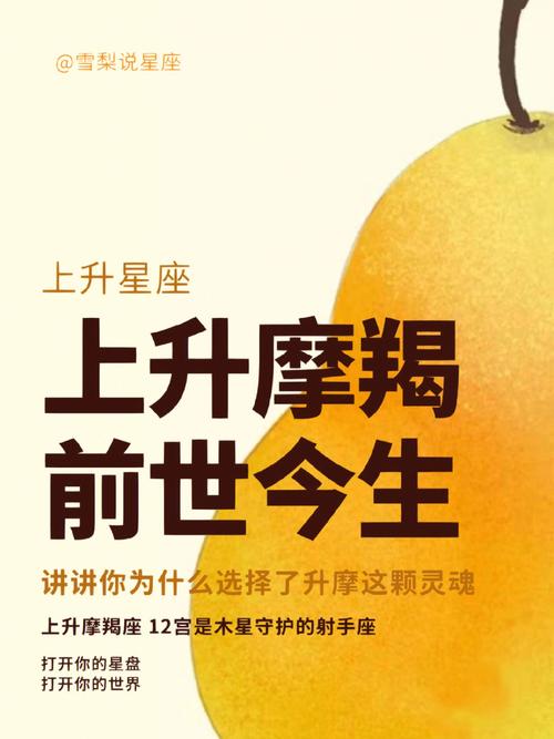 上升摩羯座有吸引力的地方