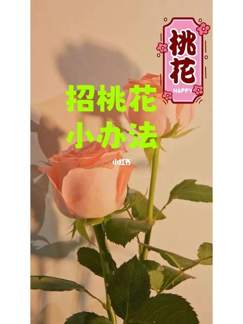 什么方法能招桃花