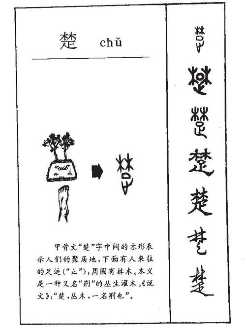 楚在五行中属什么,楚字的五行属什么,楚字有几划,楚字的含