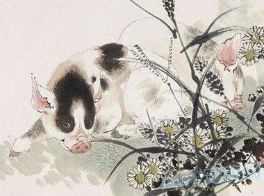 属猪人出生在这两个季节命最好