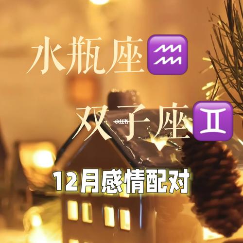 双子座和水瓶座——束缚的爱情