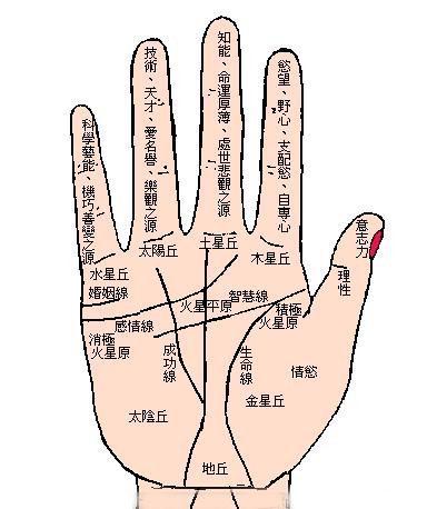 手面相看你能否中大奖