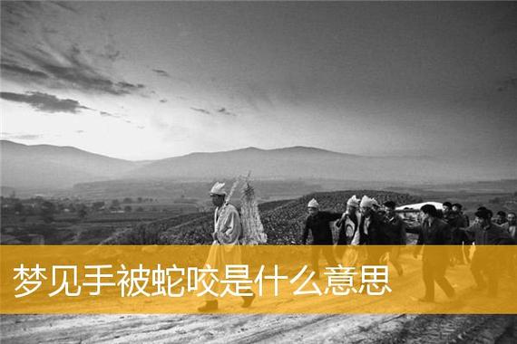梦见蛇咬自己的左手背