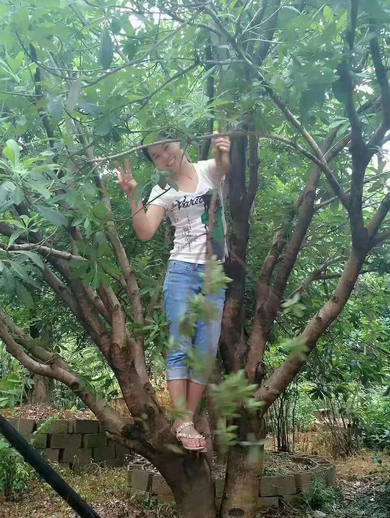 梦见被打死周公解梦，梦见被打死是什么意思？