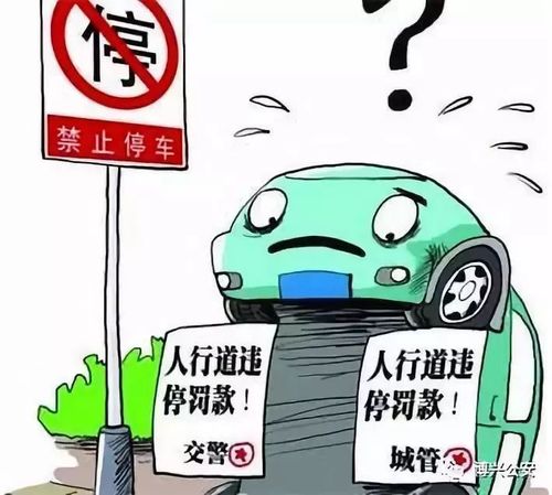 乱丢乱放关键时候总是找不到东西的星座