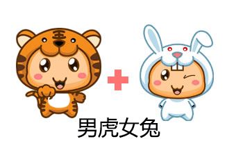 本命年虎和兔相配吗