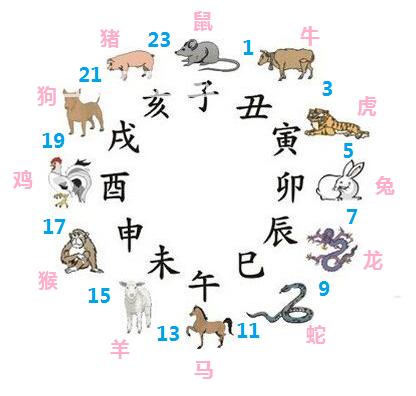 地支生肖大解析