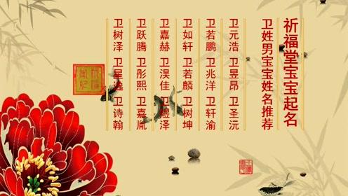 卫姓猴年男宝宝名字