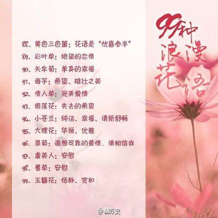 爱情花语:什么花代表不变的爱?