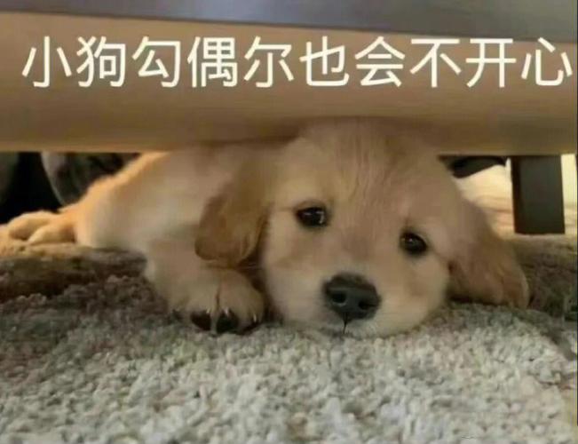 给处女座的999封信(100-199)