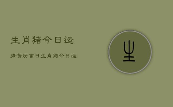 2023年1月生肖属猪人的黄道吉日