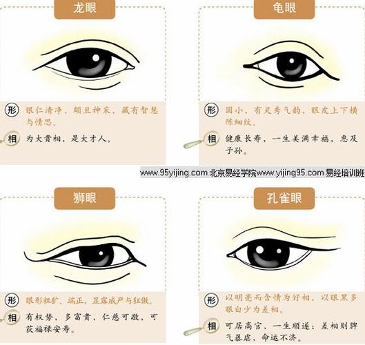 根据眼睛来分析性格,你的性格如何?
