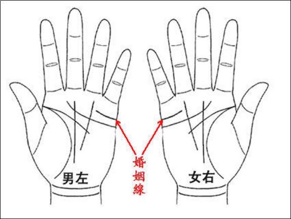 女人应该看左手还是右手