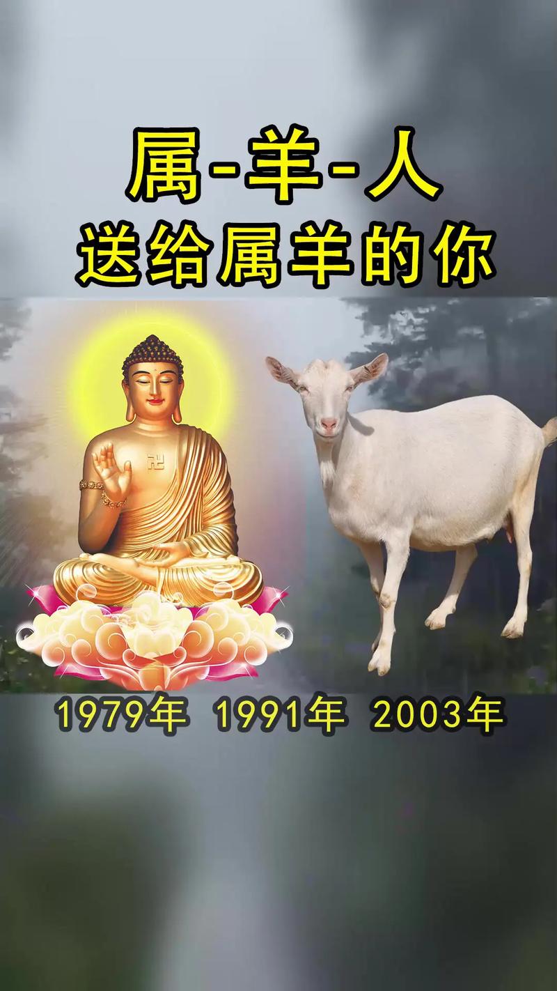 1979年羊几月生好