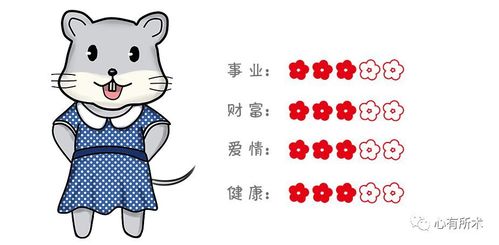 11月属于不同生肖的开心运