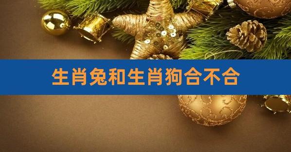 属狗和属兔的在一起好不好?十一日生的生肖狗好吗?