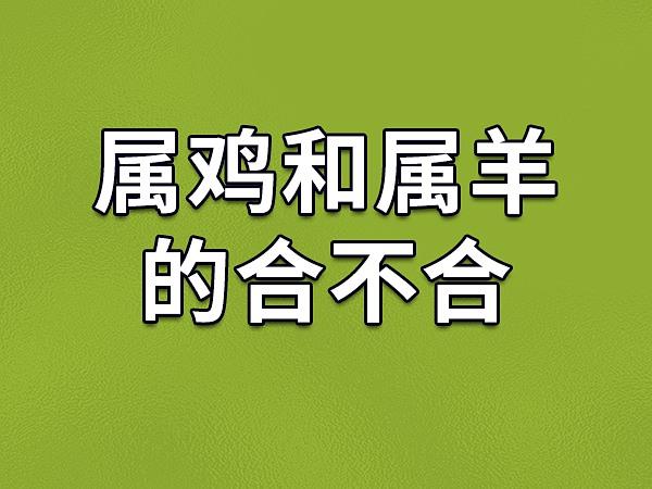 1981年属鸡人和1979年属羊合吗