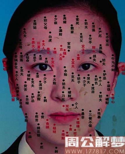 看脸相算命图解女人的命运