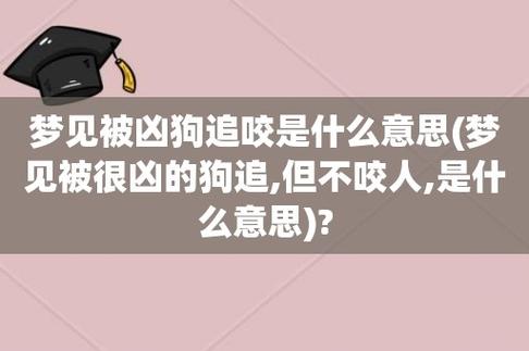 梦见被熊猫咬是什么意思