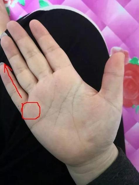 富贵命的手相特征,掌心凹陷的女人一生富贵