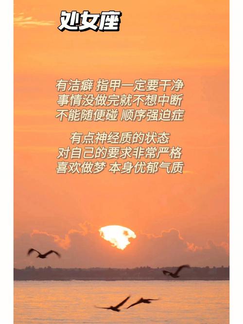 十二星座虚伪程度