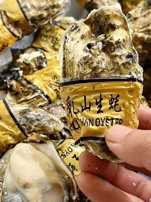 梦见生蚝很大