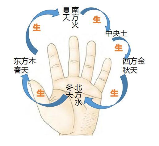 掌中五行揭示你的运势