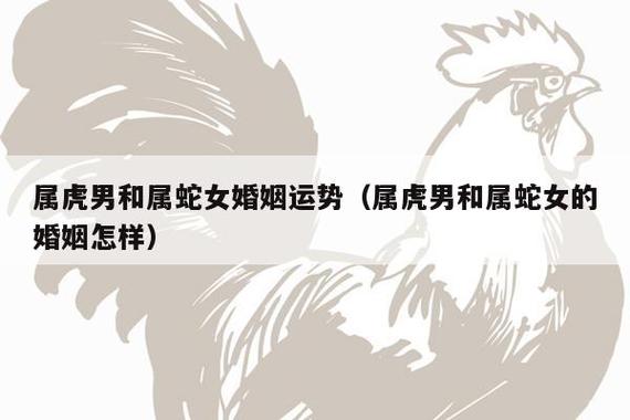 属蛇女如何在婚姻里不受气