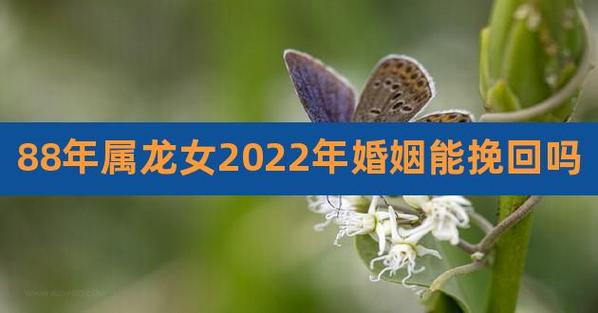 跟属龙女分手能挽回吗