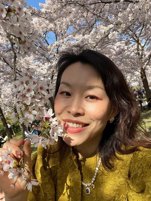 不同血型人赏樱花时
