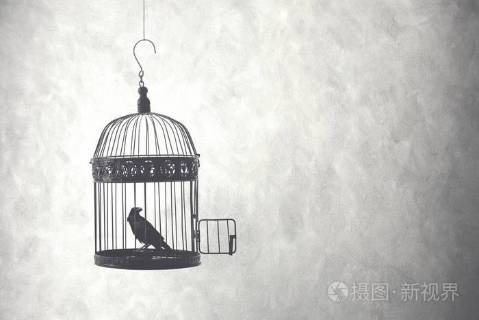 梦见鸟在笼子里